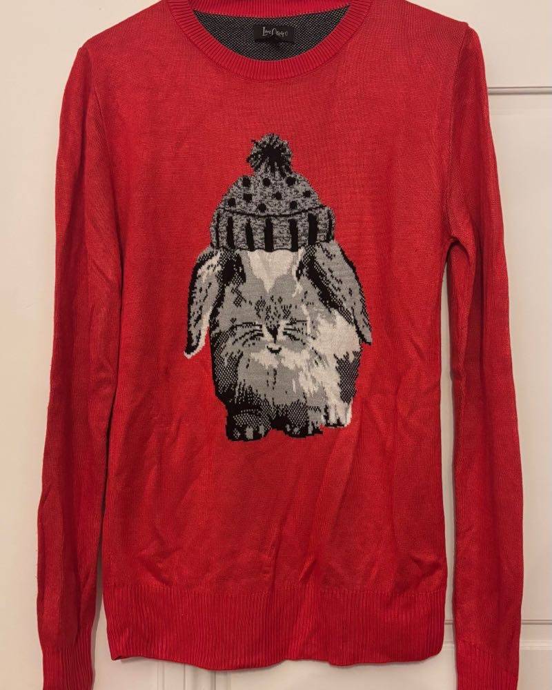 Renová Tu Vestidor - Sweater Las Oreiro